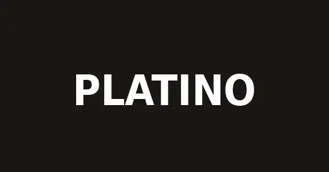 Logo de Platino Andes